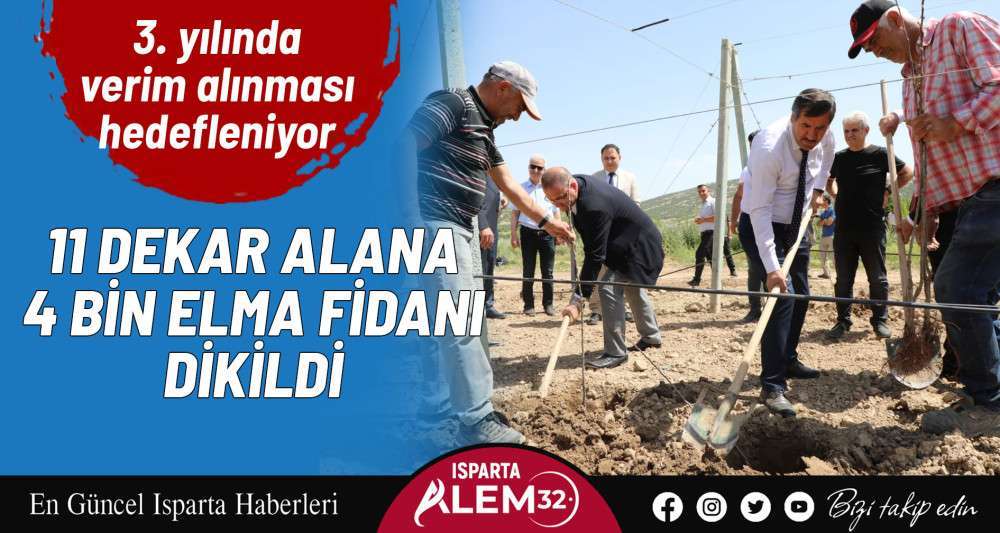 11 dekar alana 4 bin elma fidanı dikildi