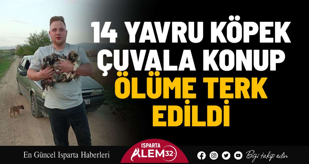 14 Yavru Köpek Çuvala Konup Terk Edildi