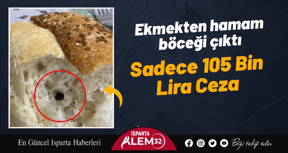 Ekmekten Hamam Böceği Çıktı! Sadece 105 Bin Lira Ceza