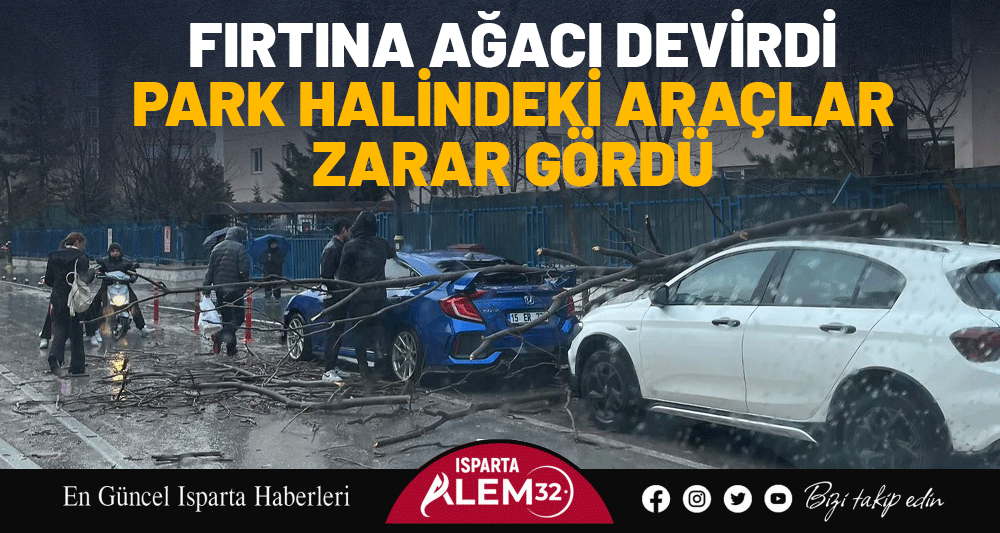 Fırtına Ağacı Devirdi: Park Halindeki Ara&ccedil;lar Zarar G&ouml;rd&uuml;