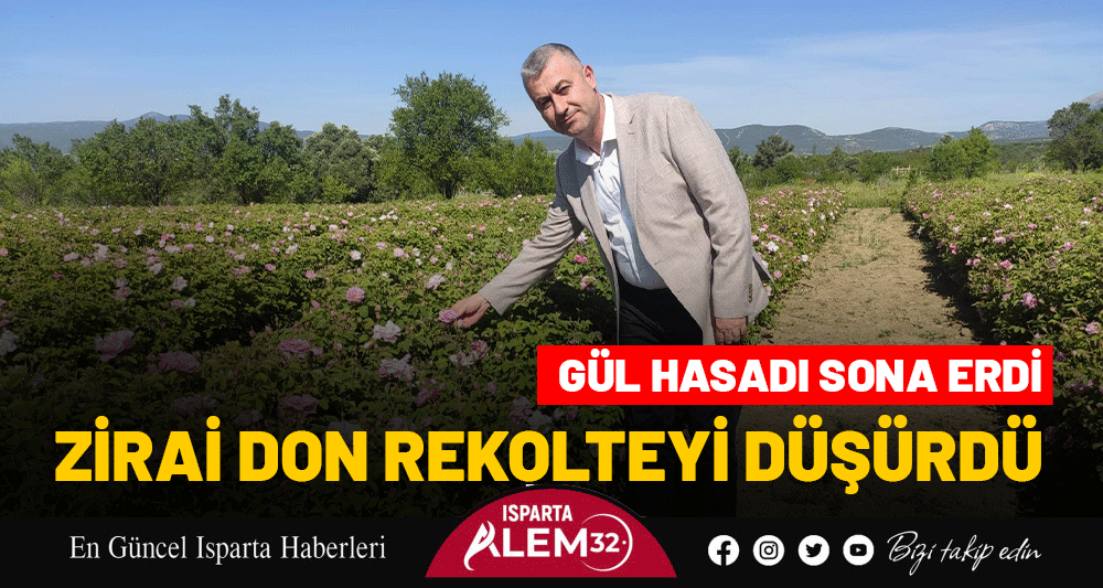 GÜL HASADI SONA ERDİ: ZİRAİ DON REKOLTEYİ DÜŞÜRDÜ