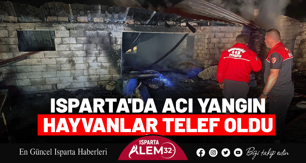 ISPARTA'DA ACI YANGIN: HAYVANLAR TELEF OLDU