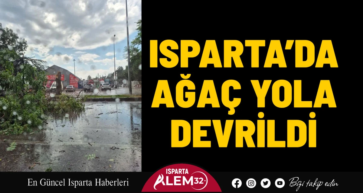 ISPARTA’DA AĞAÇ YOLA DEVRİLDİ