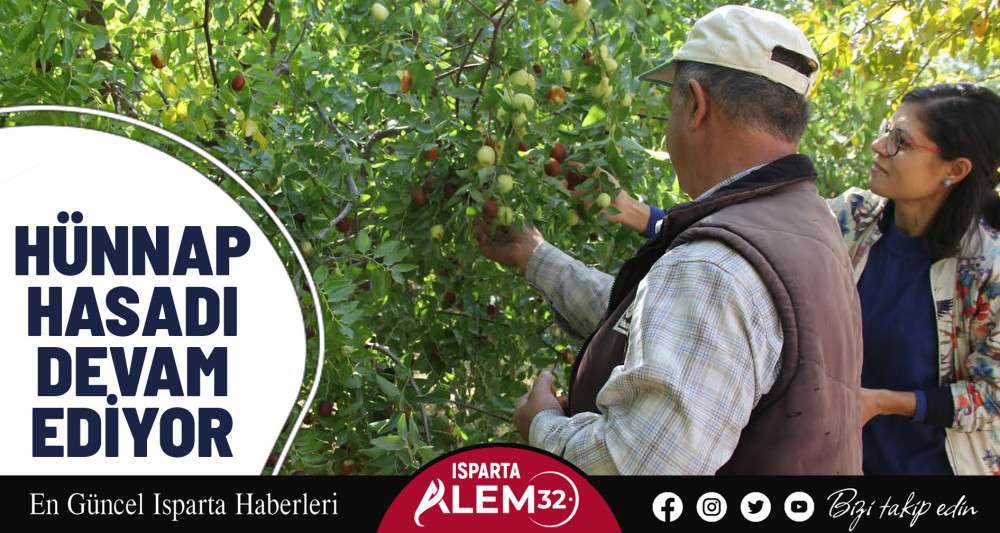 Isparta’da hünnap hasadı devam ediyor