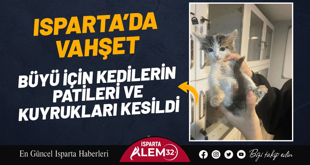 ISPARTA’DA VAHŞET! BÜYÜ İÇİN KEDİLERİN PATİLERİ VE KUYRUKLARI KESİLDİ