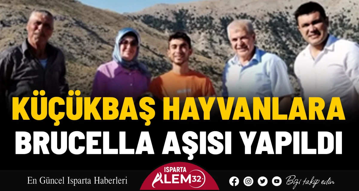 KÜÇÜKBAŞ HAYVANLARA BRUCELLA AŞISI YAPILDI