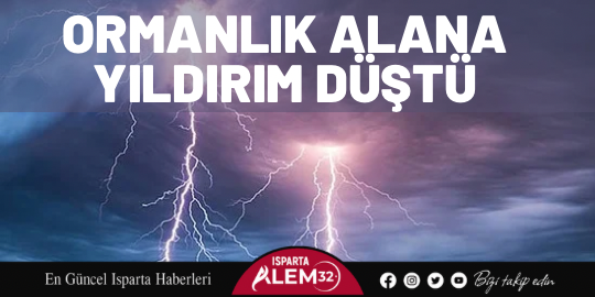 Ormanlık alana yıldırım düştü