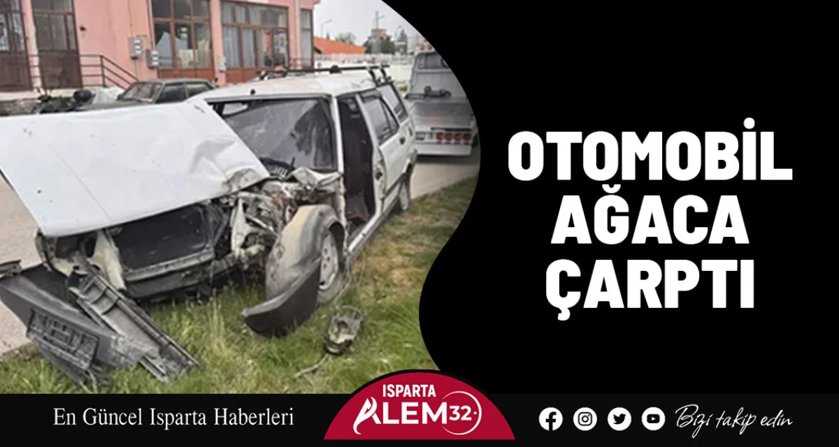 Otomobil Ağaca Çarptı 