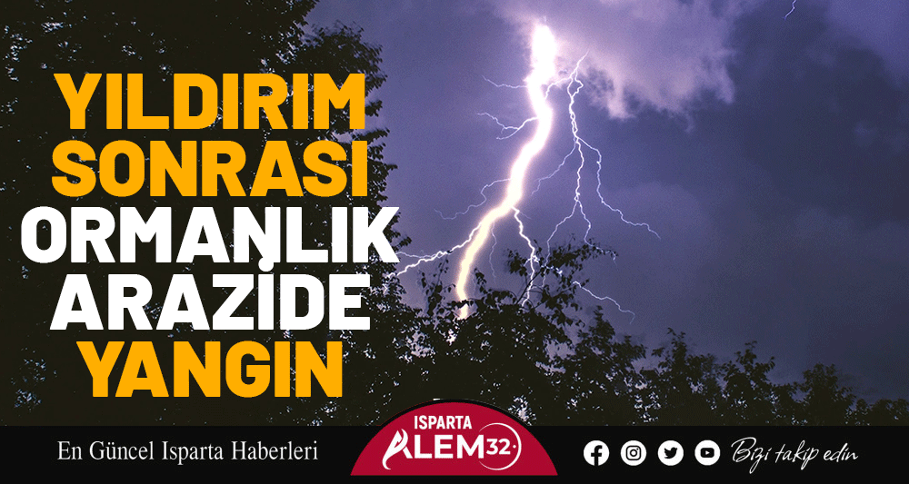 Yıldırım Sonrası Ormanlık Arazide Yangın